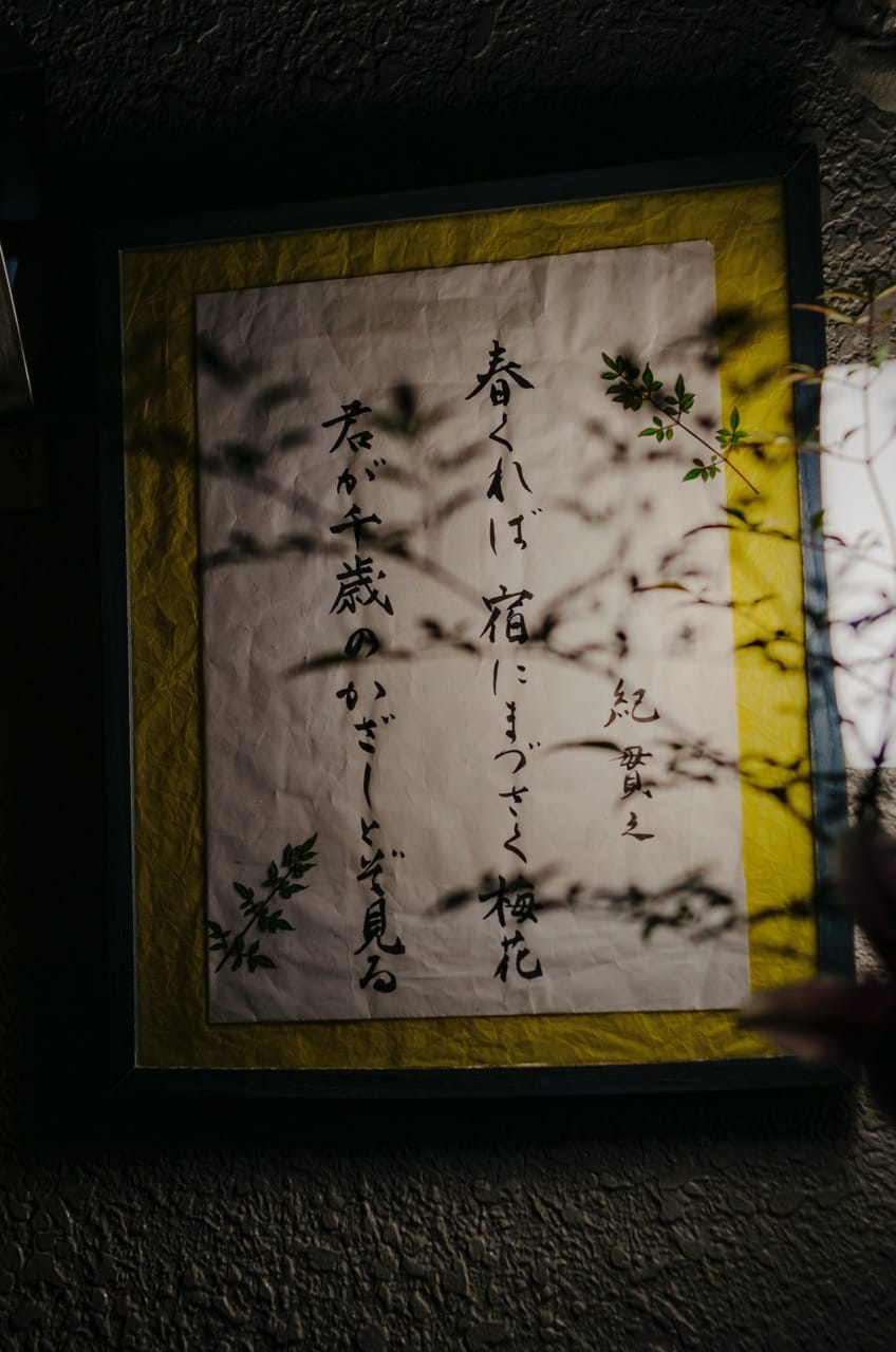 Превью Kyoto 2024